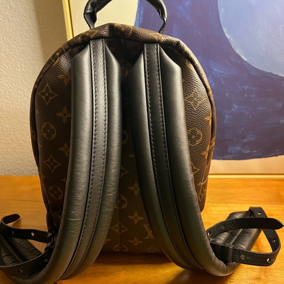 Authentic Louis Vuitton palm spring pm backpack - Picture 7 of 16